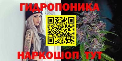 мяу мяу мука Бузулук