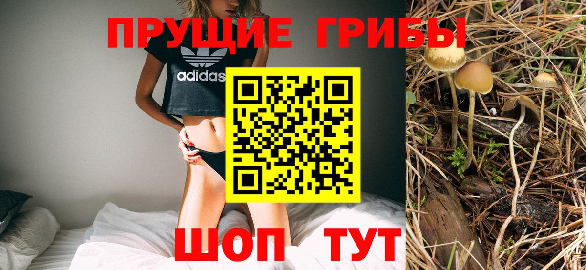 цены   Галлюциногенные грибы Psilocybe  Вход с VPN  Псилоцибиновые грибы Magic Shrooms  Вышний Волочёк 
